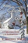 Book cover for When Grace Came Down: A Christmas Story of Redemption