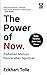 The Power of Now: Pedoman Menuju Pencerahan Spiritual