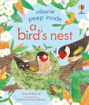 Peep inside a bird's nest (Paperback)