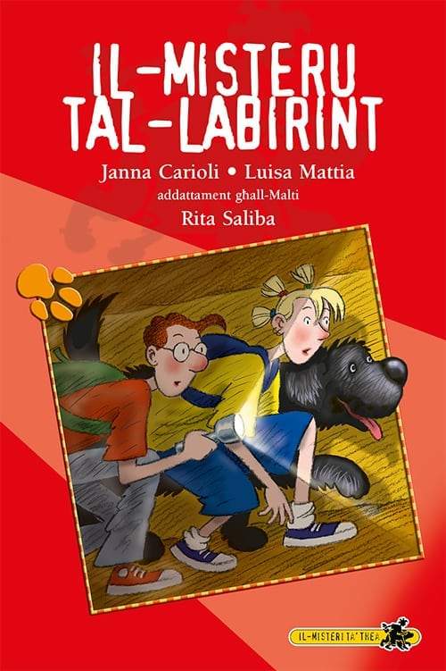 Il-Misteru tal-Labirint (Paperback)