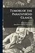 Tumors of the Parathyroid Glands by Benjamin Castleman