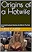 Origins of a Hotwife: A Cuc...