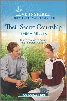 Their Secret Courtship (Paperback)