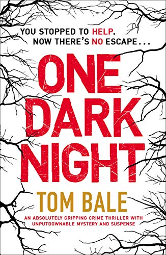 One Dark Night (Kindle Edition)