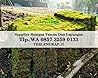 Tukang Taman Rumput Golf Kediri, WA +62 857 3259 0133, ANDIKA GARDEN