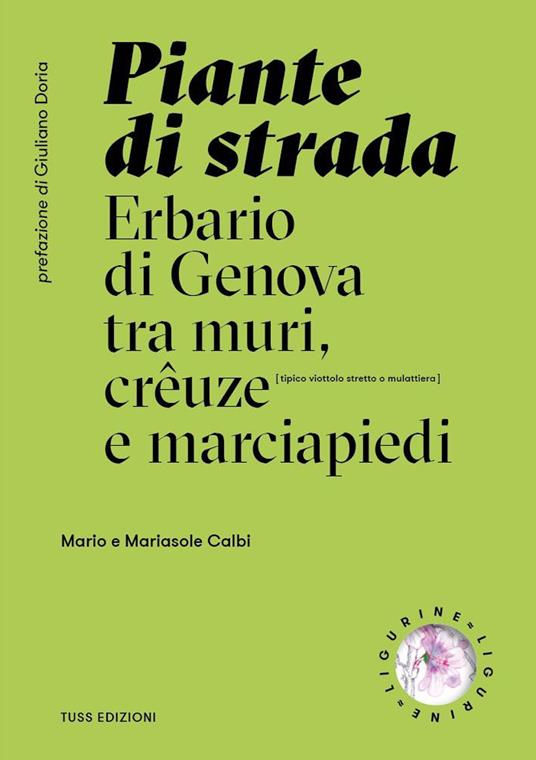 Piante di strada. Erbario di Genova tra muri, crêuze e marciapiedi (Paperback)