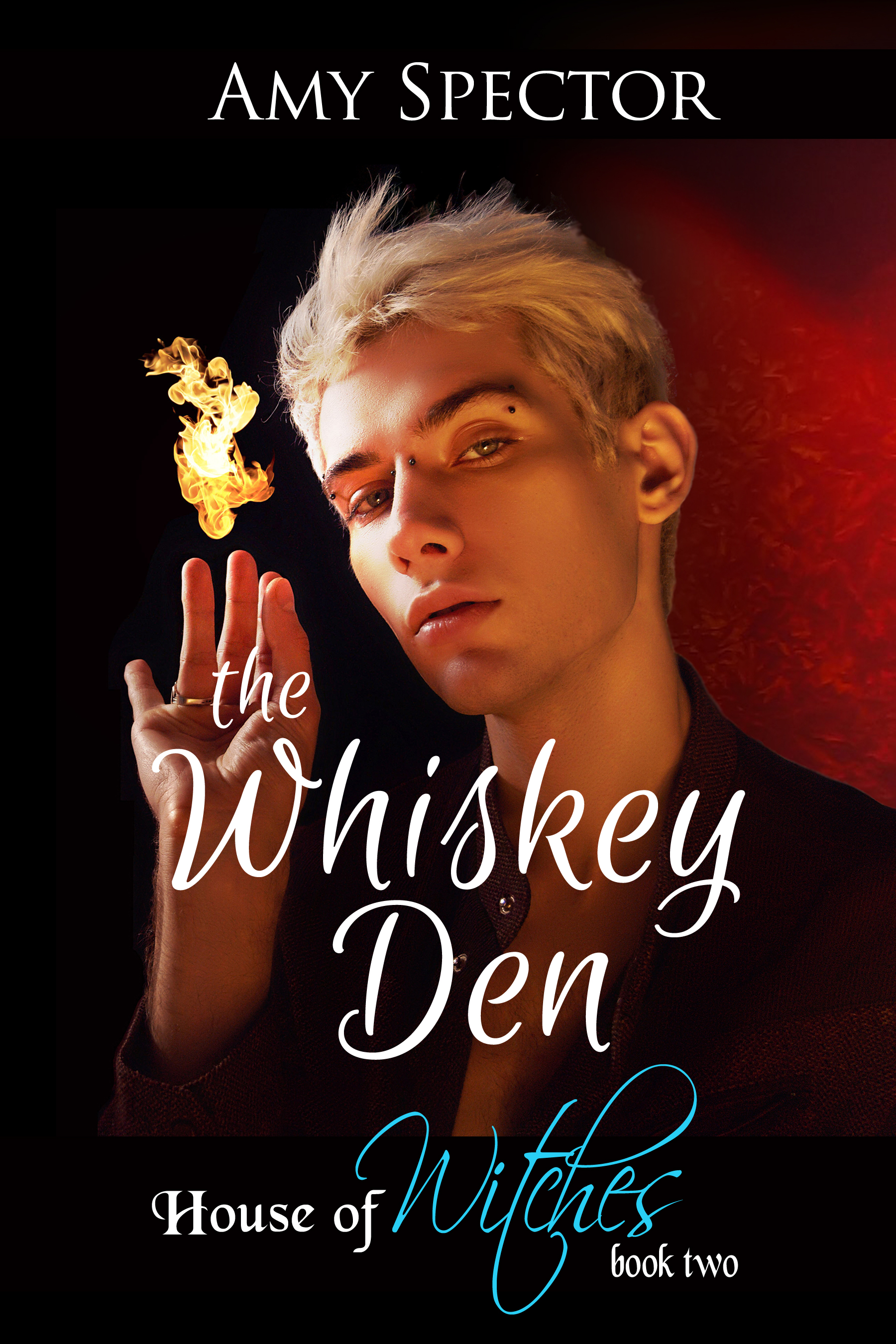 The Whiskey Den (House of Witches #2)
