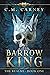 Barrow King - The Realms Book One: An Epic Progression Fantasy LitRPG Novel