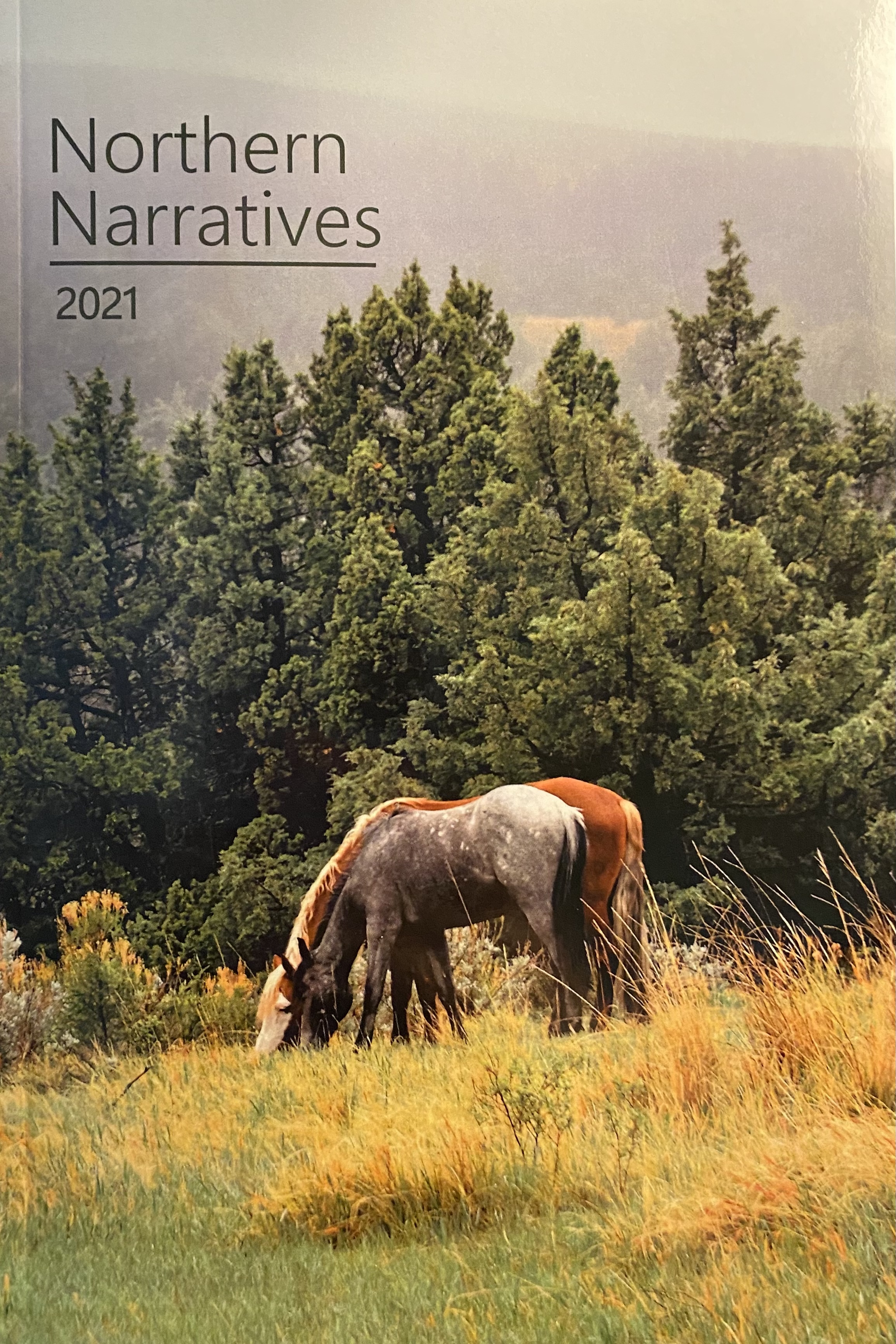 Northern Narratives 2021