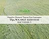 Jual Rumput Swiss Pamekasan, WA +62 857 3259 0133, ANDIKA GARDEN