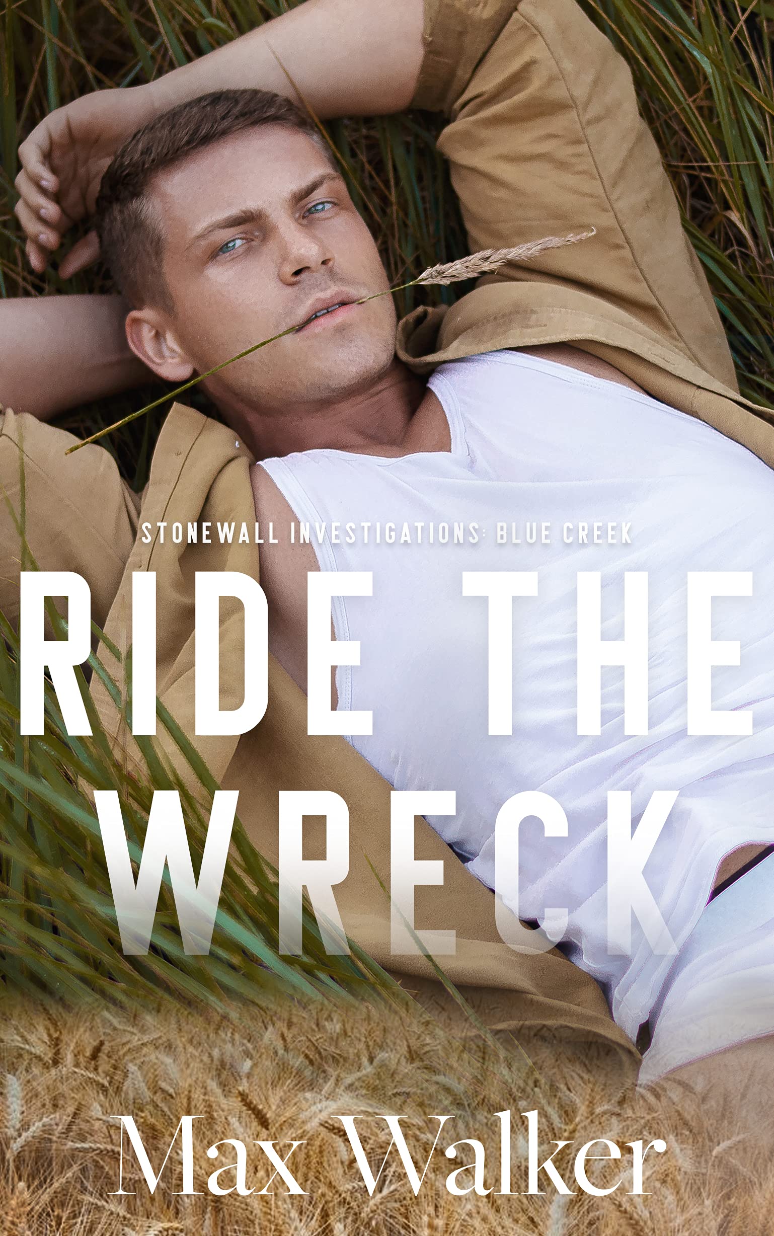 Ride the Wreck (Stonewall Investigations: Blue Creek #2)