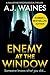 Enemy at the Window