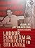 Labour, Feminism & Ethnicity in Sri Lanka by Kumari Jayawardena