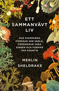 Ett sammanvävt liv: hur svamparna förenar vår värld, förändrar våra sinnen och formar vår framtid