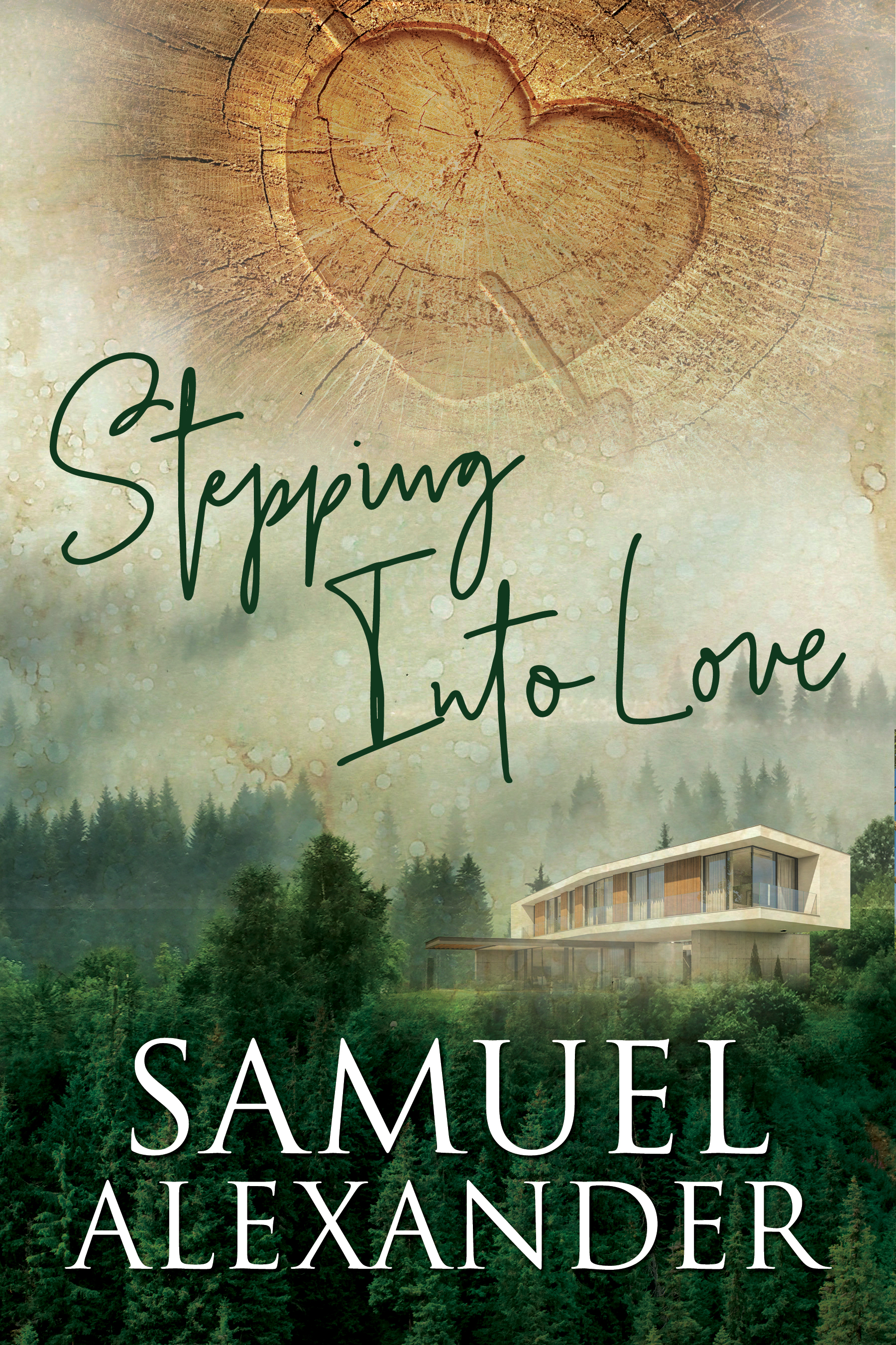 Stepping Into Love (Kindle Edition)