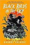Black Birds in the Sky by Brandy Colbert