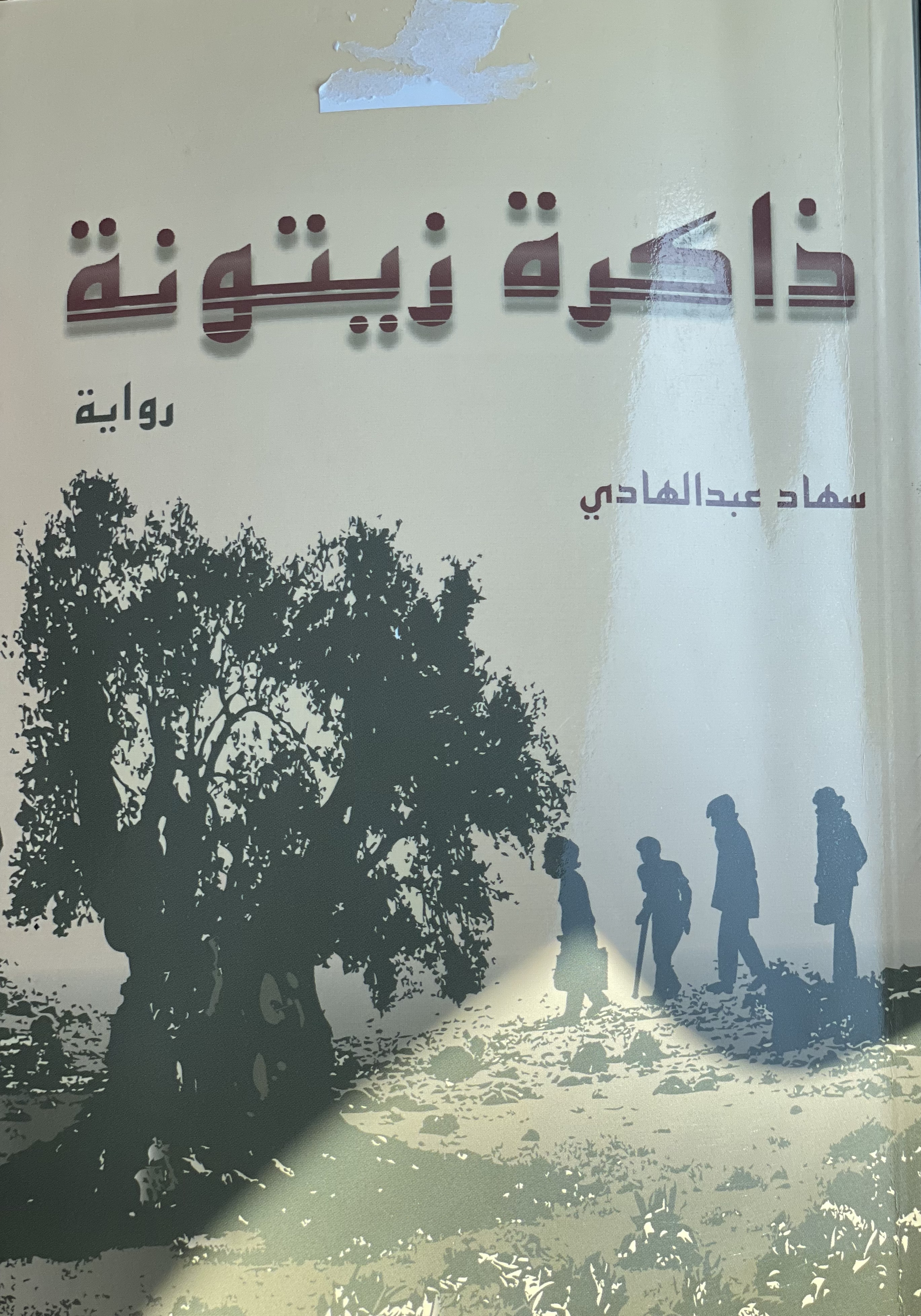 ذاكرة زيتونة