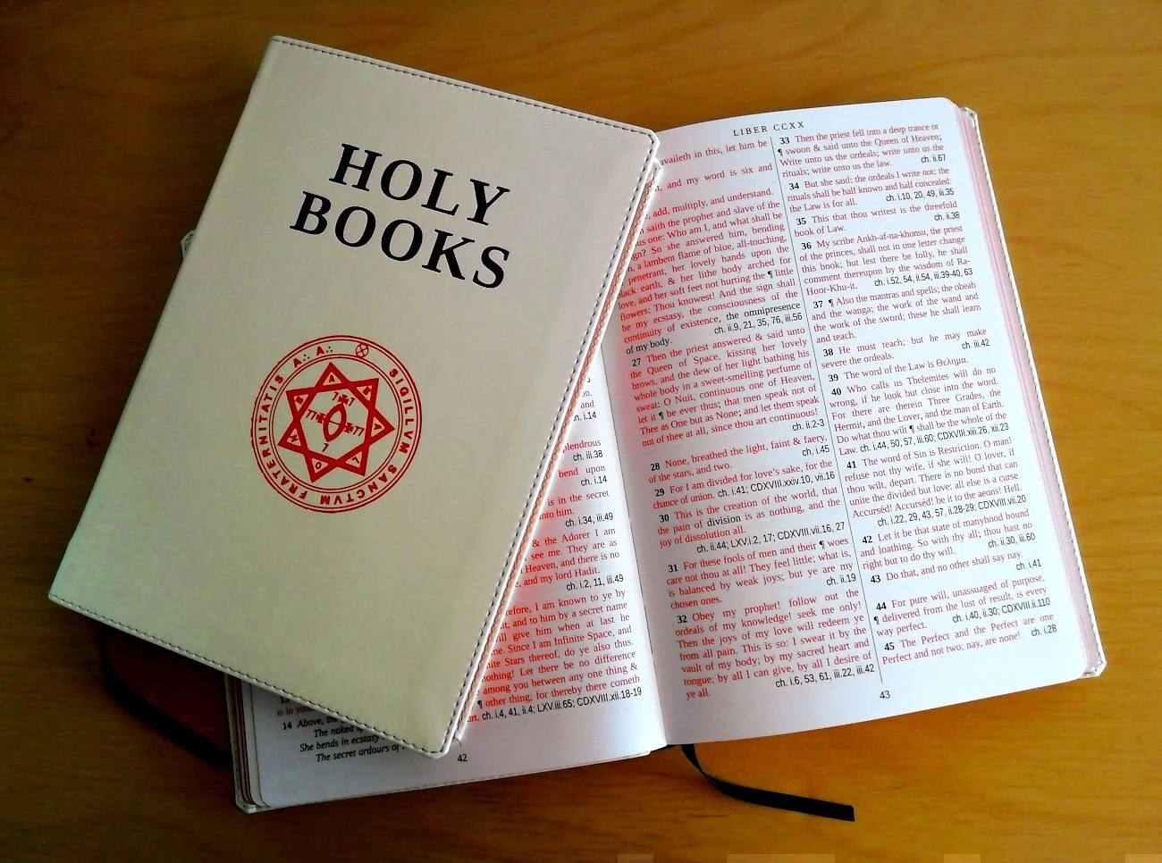 The Holy Books of the A∴A∴ : Including The Vision & the Voice : with Cross-References and a Critical Apparatus (Promulgationes Alba Alta)