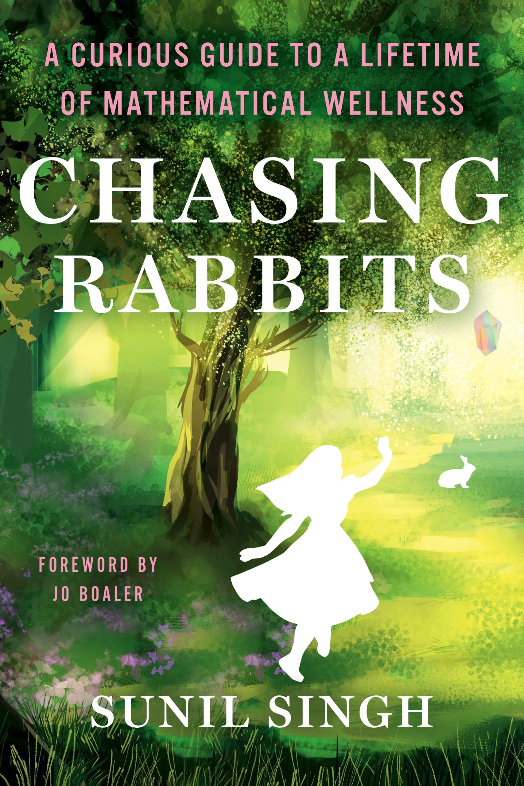 Chasing Rabbits: A Curious Guide to a Lifetime of Mathematical Wellness (Kindle Edition)