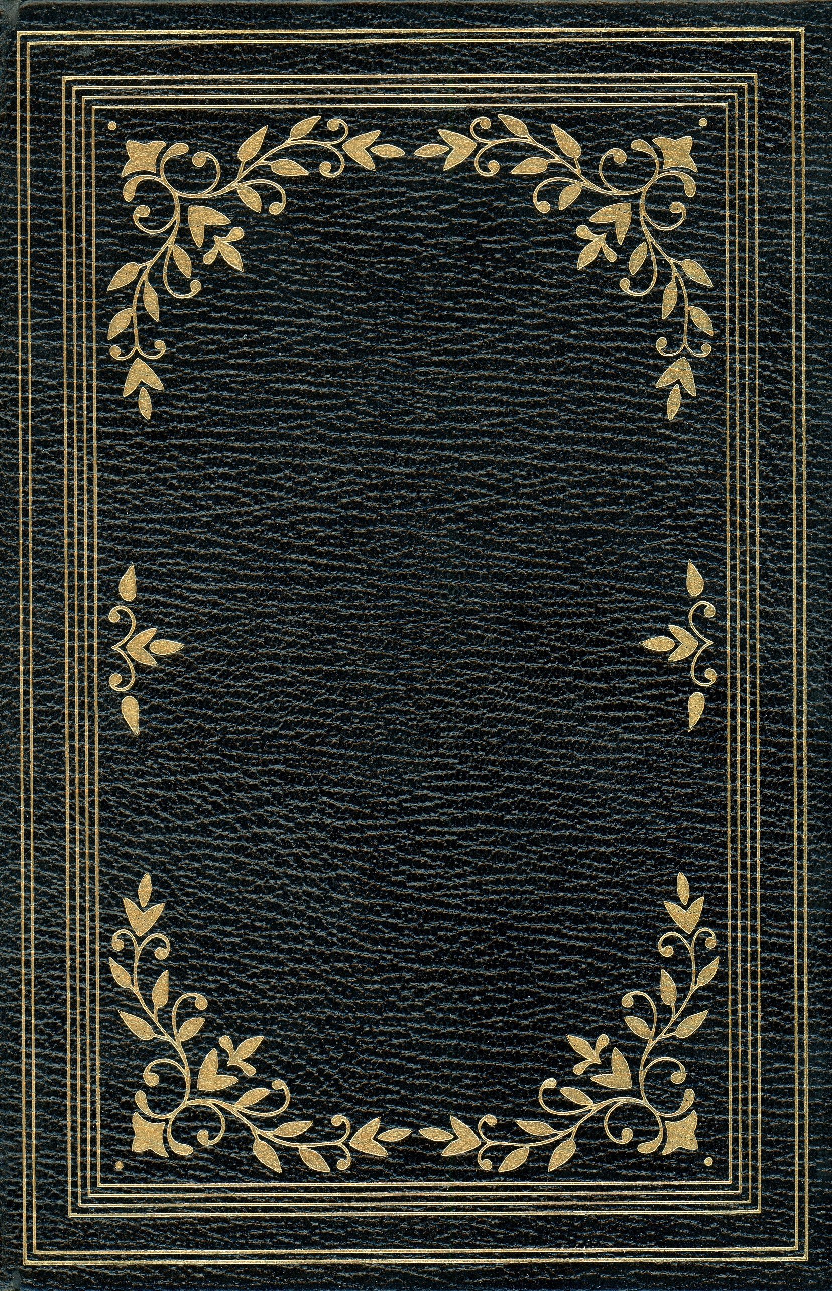 Five Stories (Leather Bound)