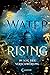 Im Sog der Verschwörung (Water Rising #2)