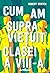 Cum am supraviețuit clasei a VIII-a by Robert Ersten