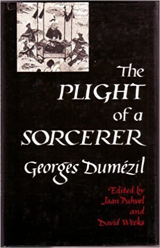 The Plight of a Sorcerer (Hardcover)