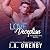 Love & Deception (The Love & Ruin Series Book 2)
