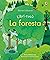 Libri cucù La foresta
