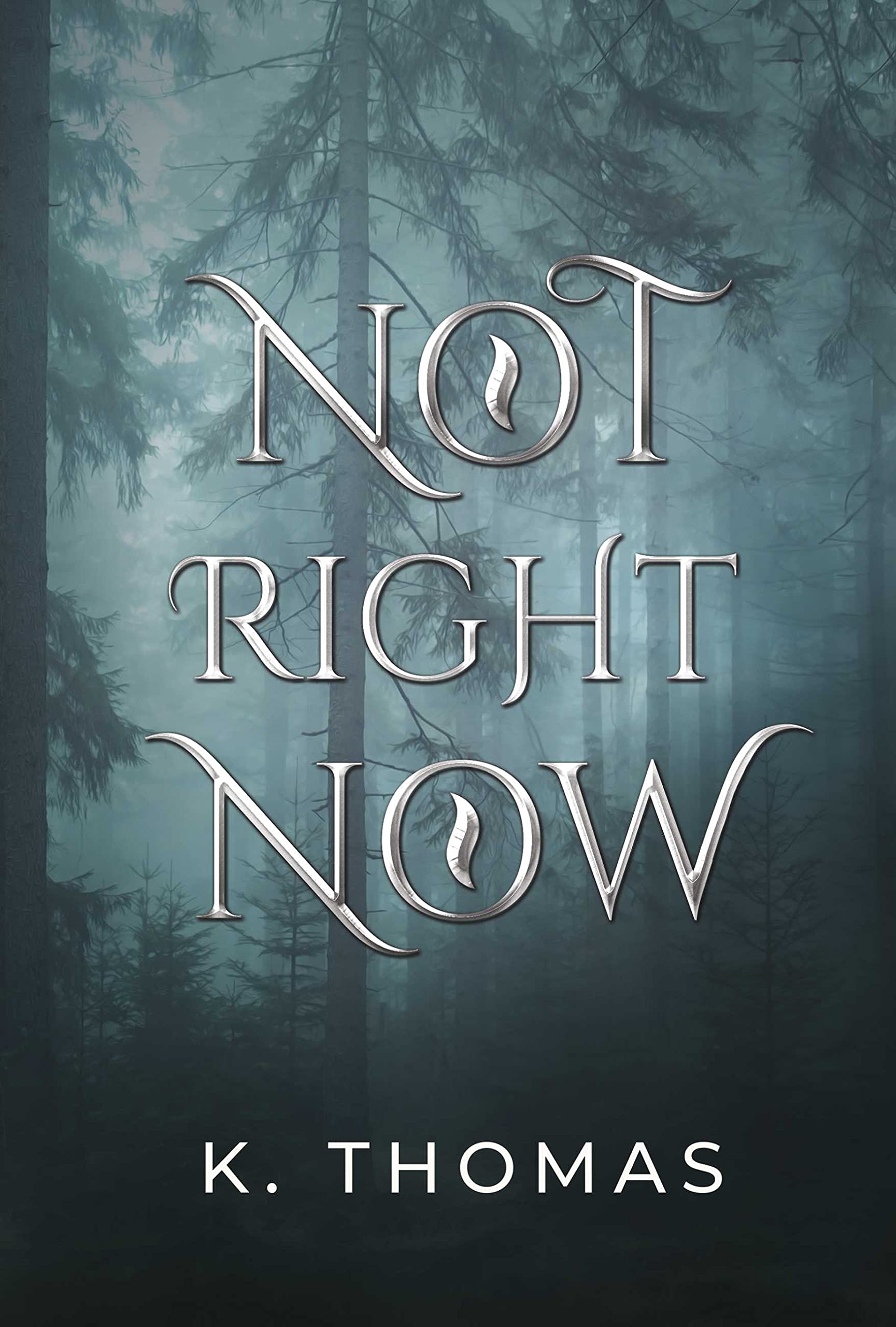 Not Right Now (Time To Wake, #2)