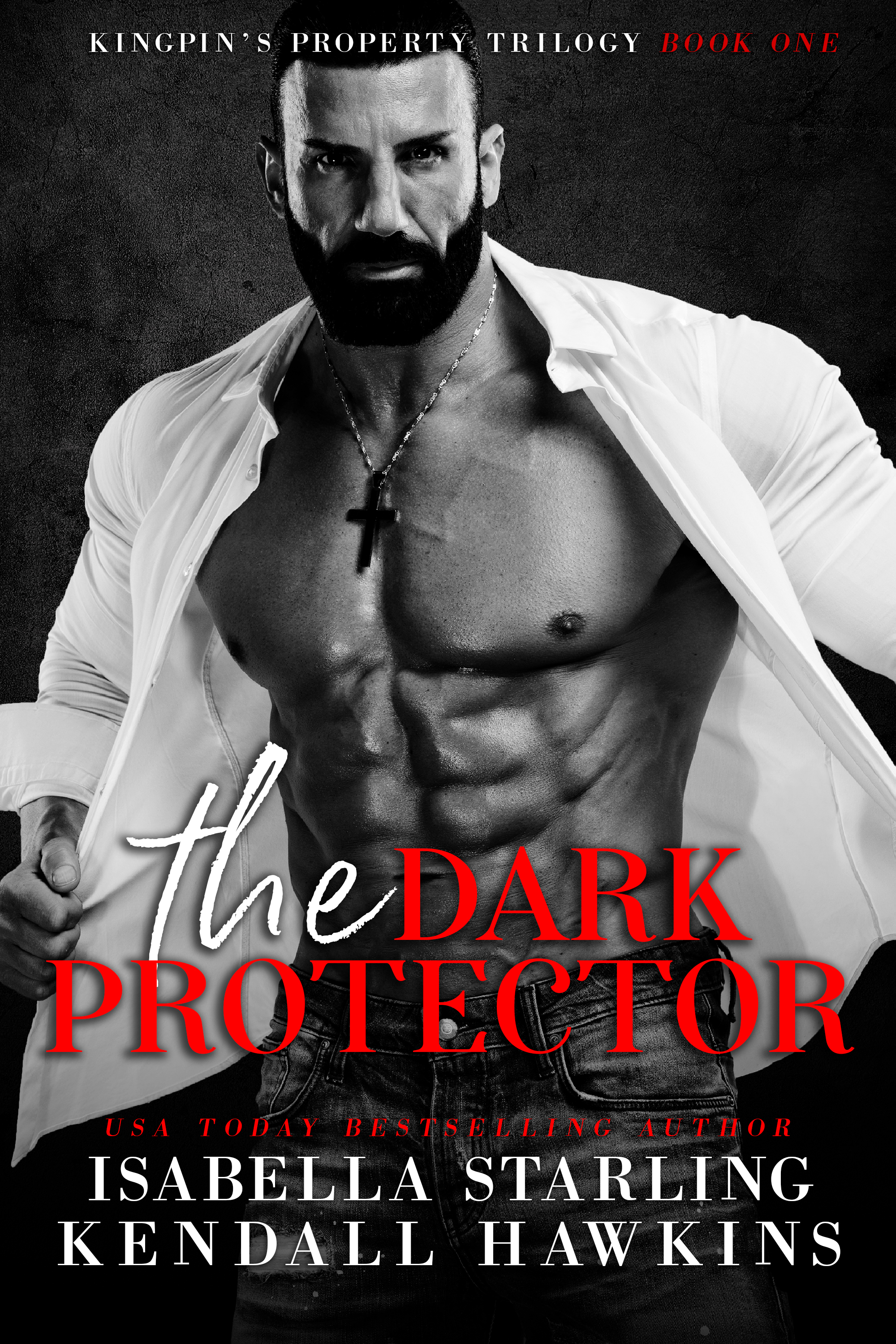 The Dark Protector (Kingpin's Property, #1)