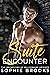 Suite Encounter by Sophie Brooks Suite Encounter by Sophie Brooks