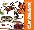 Essential Invertebrates (Essential Animals) by Alyssa Krekelberg