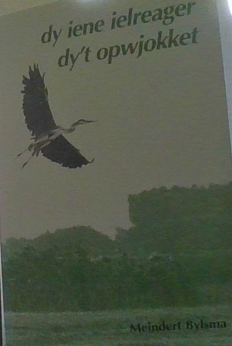 Dy iene ielreager dy't opwjokket