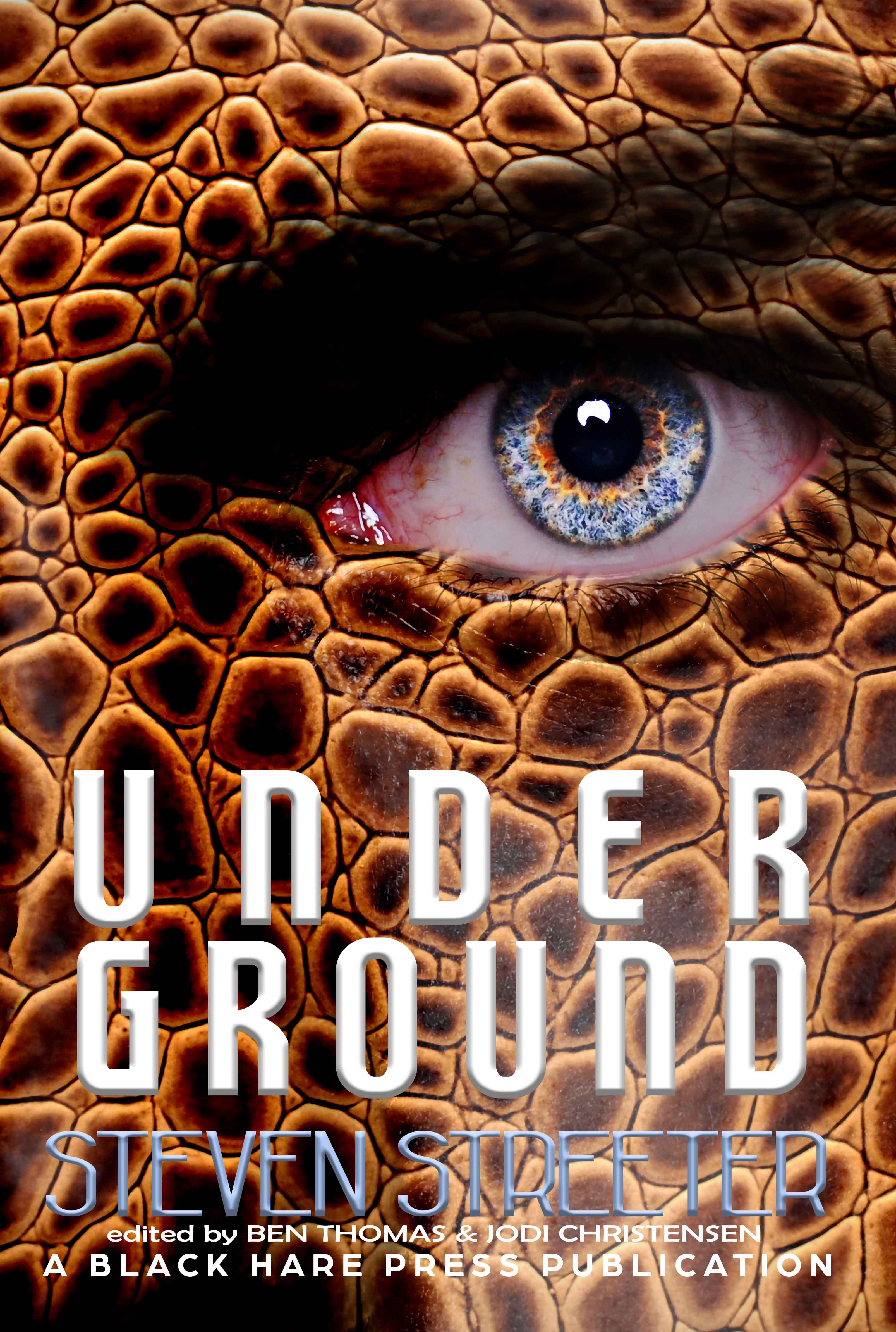 Under Ground (Underground #11)