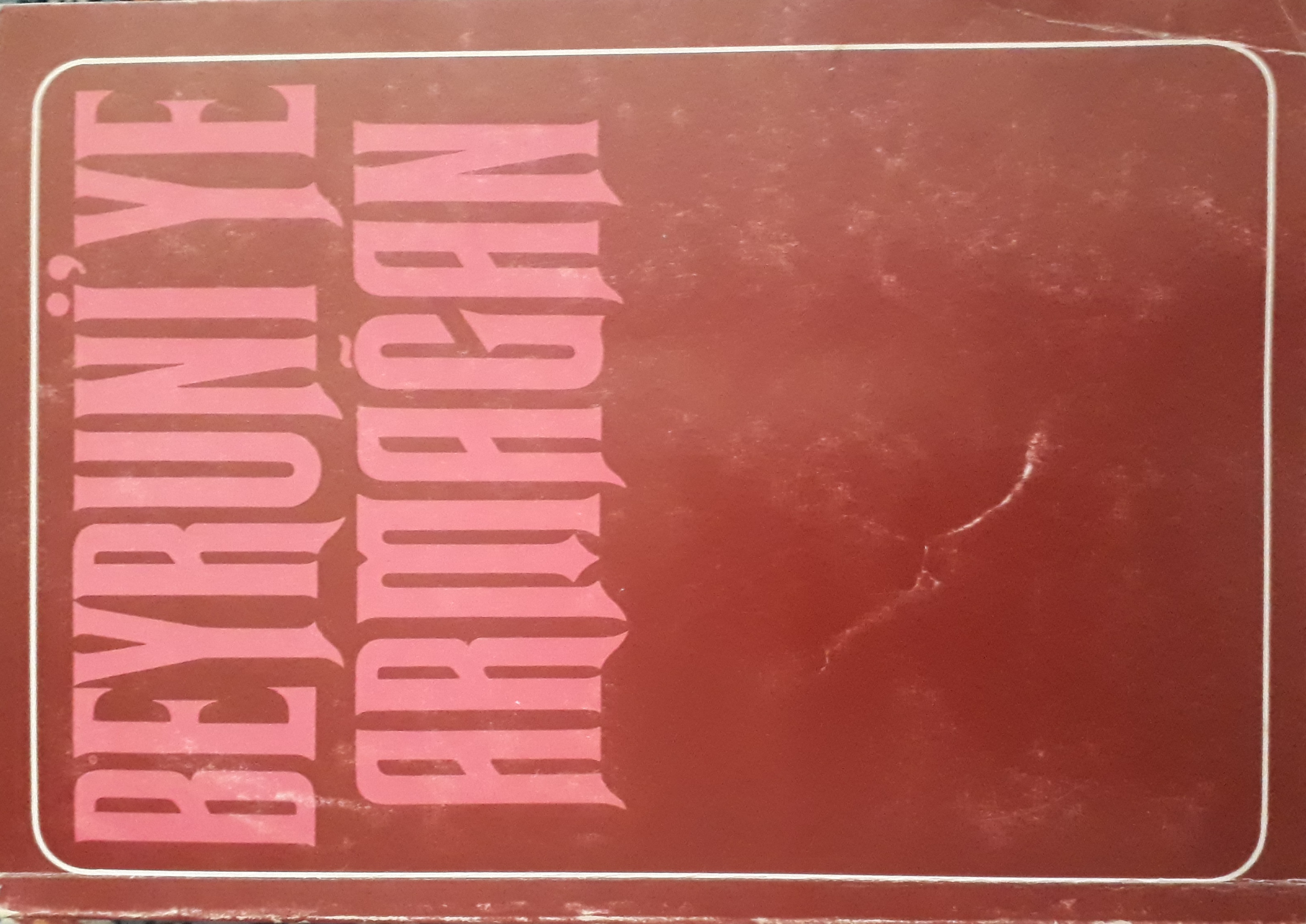 Beyruni'ye armağan (Paperback)