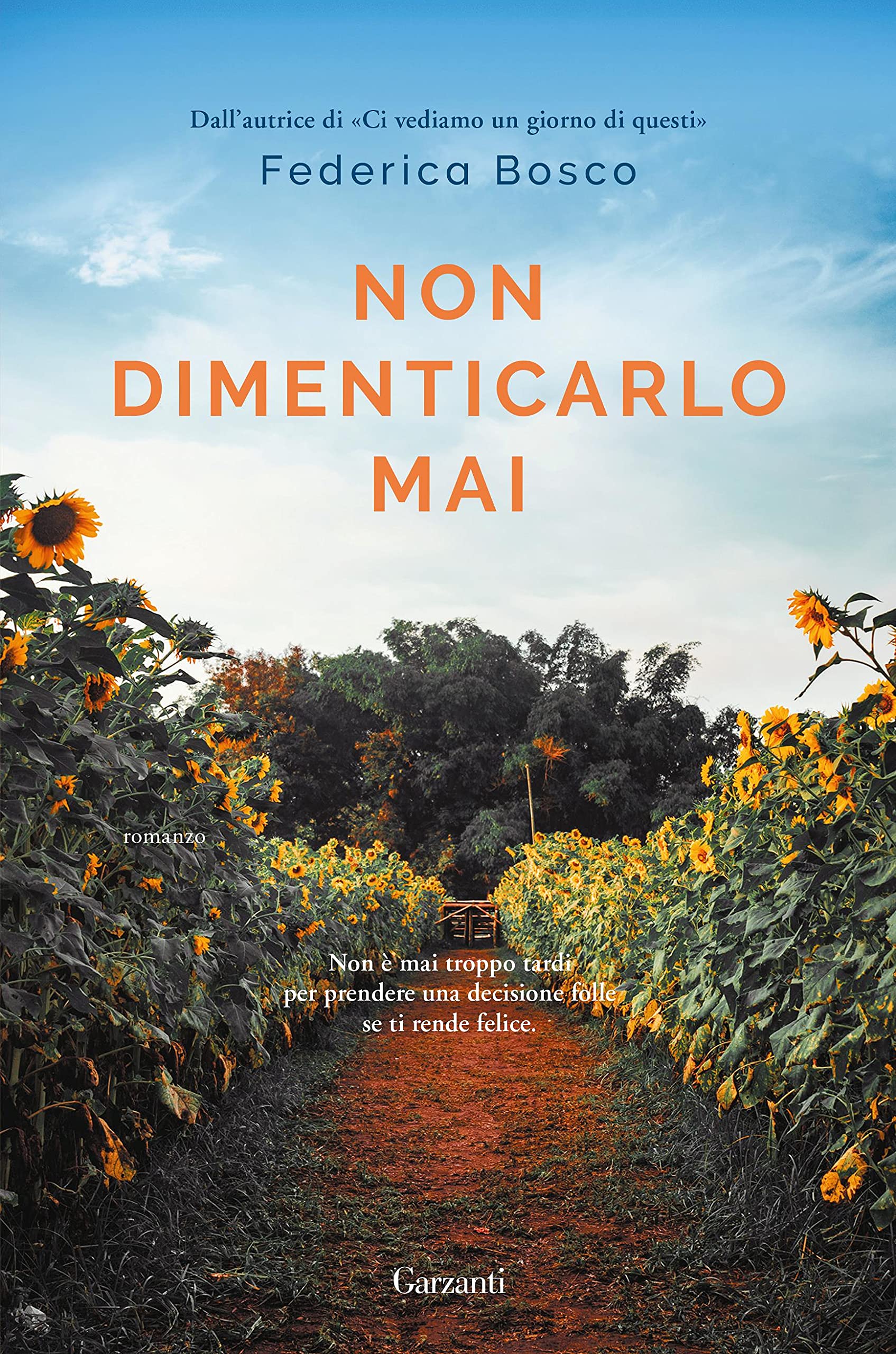 Non dimenticarlo mai (Italian Edition)