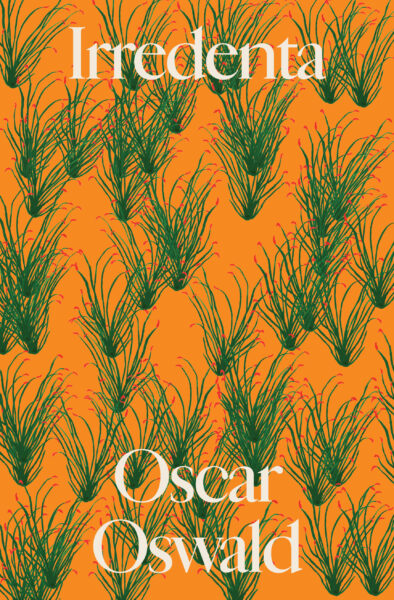 Irredenta (Paperback)