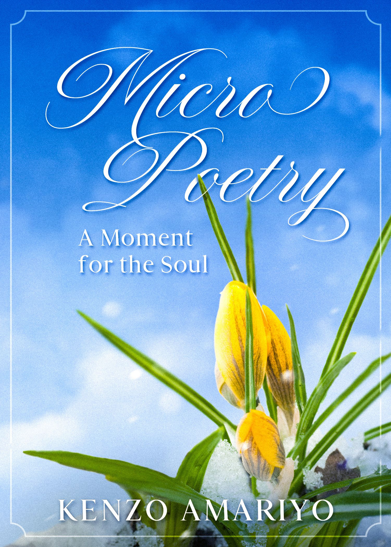 MicroPoetry - A Moment for the Soul