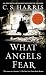 What Angels Fear (Sebastian...