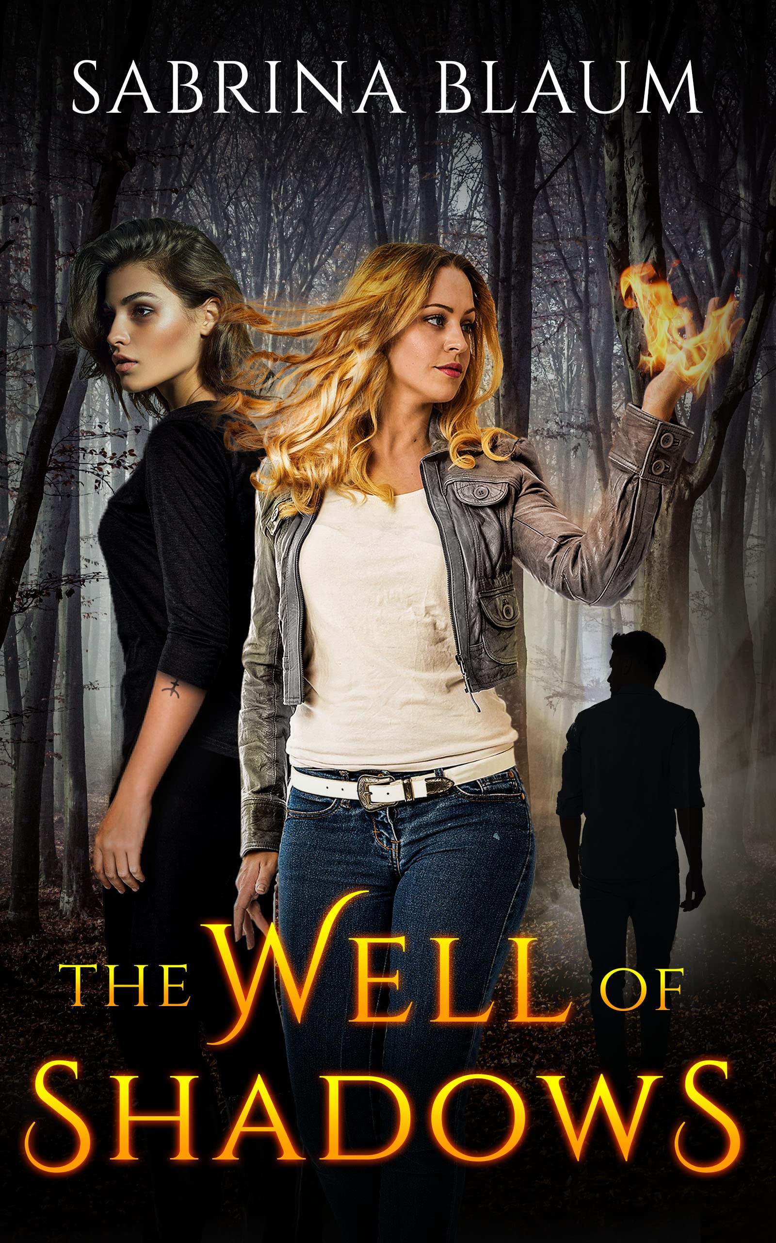 The Well of Shadows (Kindle Edition)