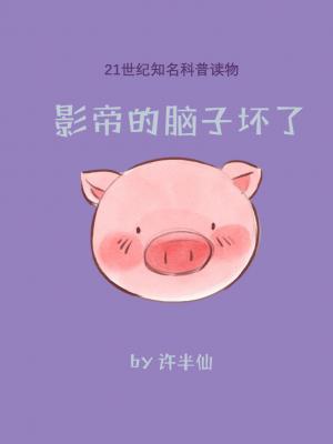 影帝的脑子坏了 (Unknown Binding)
