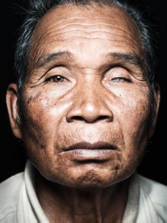 Vietnamese Veterans (Paperback)