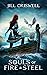 Souls of Fire and Steel (Frozen Sun Saga, #3)