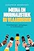 Media en journalistiek in Vlaanderen by Jonathan Hendrickx