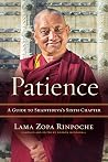 Patience: A Guide...