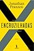 Encruzilhadas by Jonathan Franzen