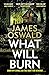 What Will Burn (Inspector McLean, #11)