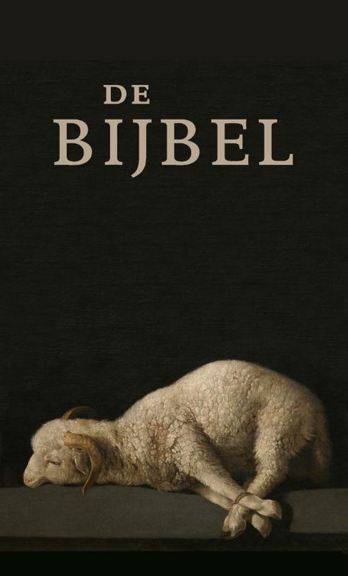 De Bijbel - NBV21 (Hardcover)