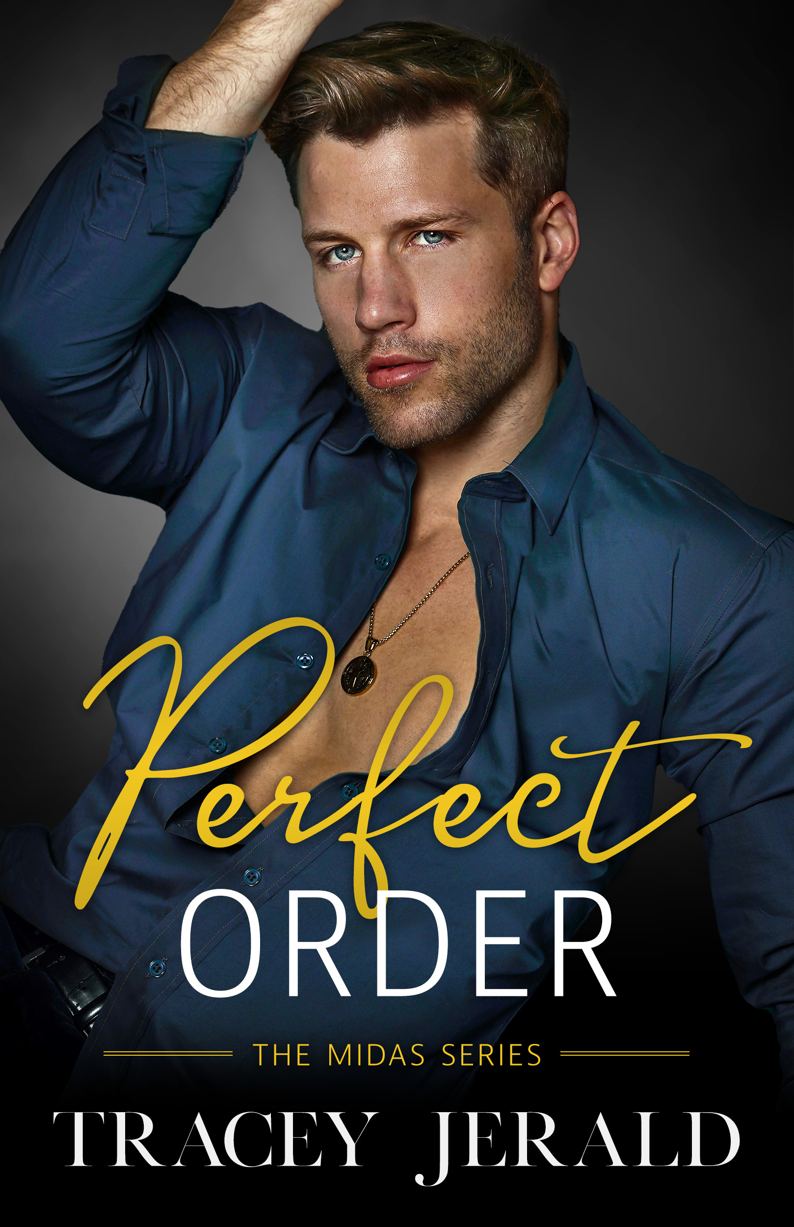 Perfect Order (Midas, #4)